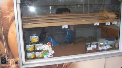 Кажется, в Донецке поспевают бананы...