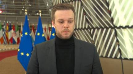 Литовский министр назвал «угрозой» инициативу российского парламентария об отзыве признания независимости Литвы