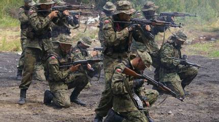 Российская артиллерия уничтожила позицию польских наемников ВСУ, на которой они пытались поднять флаг Польши