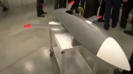 Разработка работающих в «рое» беспилотников начата в интересах ВКС РФ