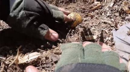 Российские сапёры в джунглях Лаоса - миссия выполнима