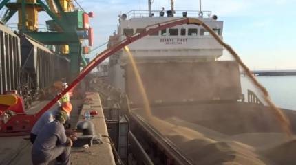 Германия призвала Россию увеличить срок зерновой сделки из-за «миллионов голодающих»