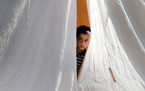 Восточные единоборства России