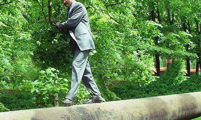 Грефоводник