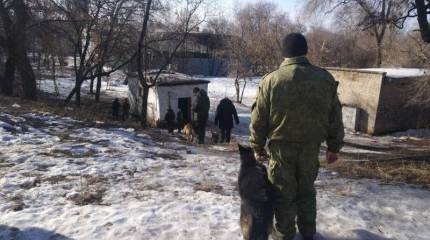 Череда взрывов в Донецке