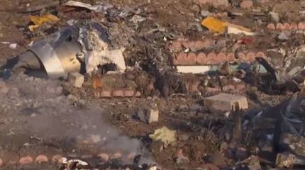 В Newsweek заявили о возможном случайном ударе ЗРК «Тор» по украинскому «Боингу» в Иране