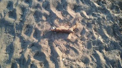 Противник всё чаще применяет «хитрые» мины в зоне ведения боевых действий