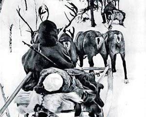 С рогами в армию не брали