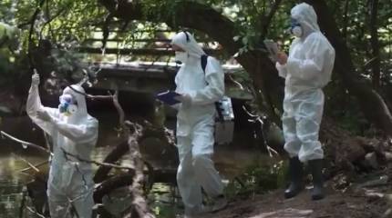 На Гавайях и спустя почти 4 года не могут решить вопрос с питьевой водой после утечки топлива на базе американских ВМС