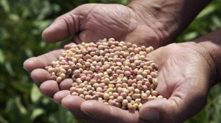 Американские СМИ: от торговой войны между США и КНР выиграла Россия