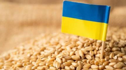 Украинский эксперт: Аграрное производство на Украине в 2023 году упадёт почти на треть