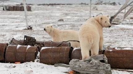 Арктика очищается от мусора