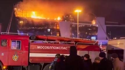 «Санкции и контрнаступление не сработали»: немецкий бизнесмен назвал причины нападения в Подмосковье