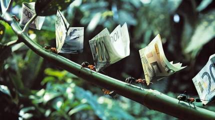 США: экспроприации как способ выживания