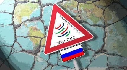 Добро пожаловать из ВТО?