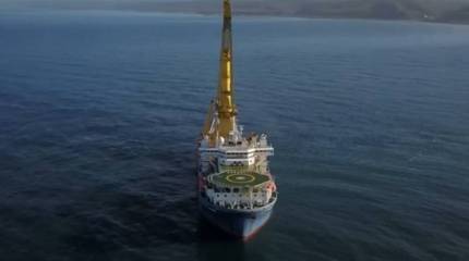 Нерест трески назвали сдерживающим фактором реализации газопровода «СП-2» в немецкой прессе