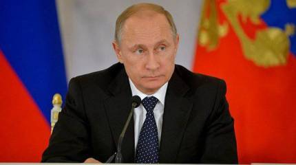 Проект «ЗЗ». Год козы? Год медведя!