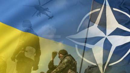 Дмитрий Семушин. Девятый месяц конфликта на Украине: стратегия НАТО