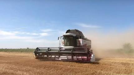 Россия в течение года поставила на мировой рынок рекордные объёмы пшеницы