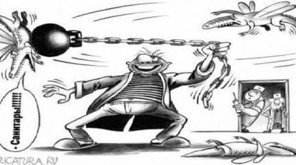 Весь мир- бардак