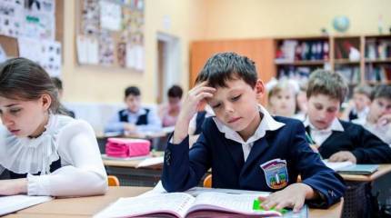 Школьные реформы: бессмысленные и беспощадные