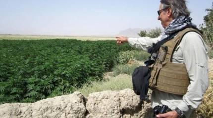 Военнослужащие США готовы инвестировать в марихуану - командиры запрещают