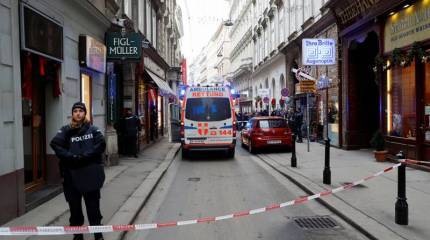 В Вене задержан подозреваемый в стрельбе в центре города