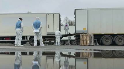 Между Россией и Украиной прошёл обмен телами погибших: диспропорция сохраняется