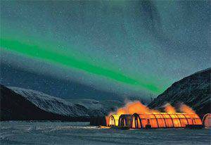 Сияние Арктики