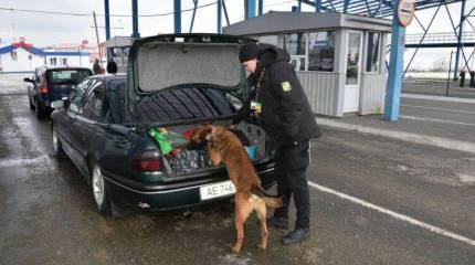 Под Киевом задержали переселенцев с Донбасса за подписку на Ольгу Скабееву и сообщения в телефоне об обстрелах со стороны Авдеевки