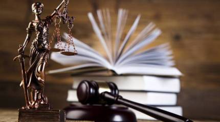 Господин Бастрыкин, мы опровергаем и извиняемся!