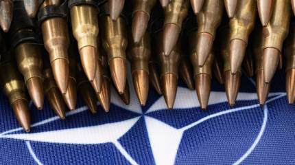 Власти Франции заявили о готовности предоставить Украине гарантии безопасности со стороны стран НАТО