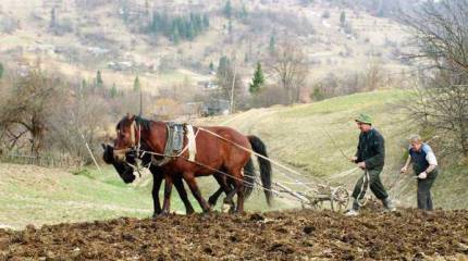 Село и продовольственная безопасность России