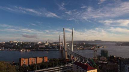 Госкорпорация или НКО «Дальний Восток»? Почему регион не развивается и о чём спорит президент с правительством