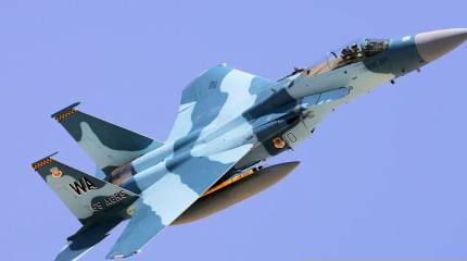 Эскадрильи «агрессоров» в ВВС разных стран