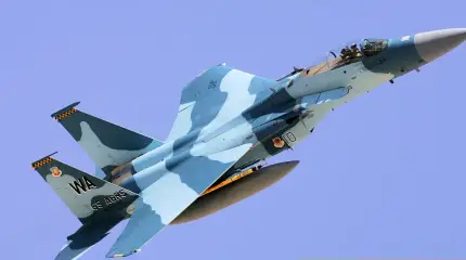 Эскадрильи «агрессоров» в ВВС разных стран