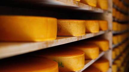 Россия запретила ввозить продовольствие странам, поддержавшим санкции