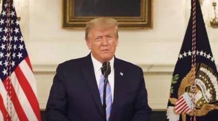 Пенс допускает применение 25-ой поправки в отношении Трампа