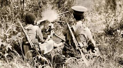 Армия Эфиопии к началу боевых действий