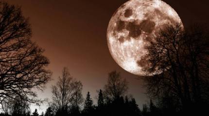 В РФ названы сроки начала создания станции на окололунной орбите