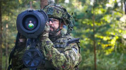 Президент Эстонии: Таллин может послать войска на Украину после прекращения огня