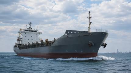 Контейнеровоз «Росатома» затонул в Чёрном море после атаки украинских дронов