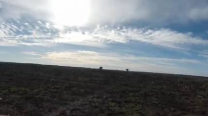 Военкоры показали кадры воздушного сражения российского и украинского дронов в небе над Марьинкой