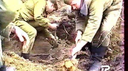 Родная кровь (рассказ)