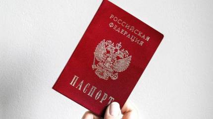 В Госдуме поддержали поправку о лишении приобретенного гражданства РФ за угрожающие нацбезопасности действия