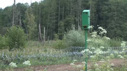 Литва отгородится от Белоруссии колючей проволокой