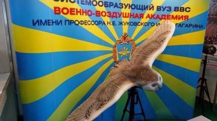 Полярная сова поможет вести разведку и выдавать целеуказания