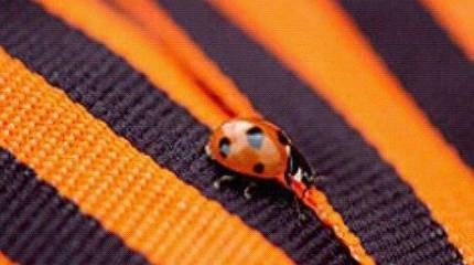 Мы выдержали