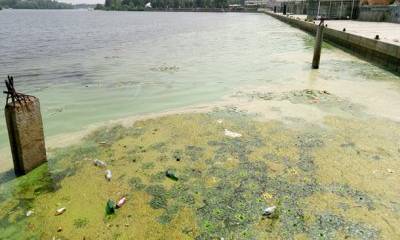 Записки Колорадского Таракана. Стекломой — наше всё! Размышления над глобусом Украины