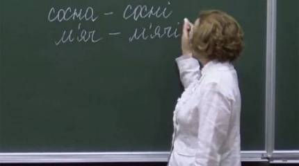 Эксперты на Украине закон о языке назвали "выстрелом в собственную ногу"